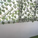 Titan, ap 2 camere de inchiriat